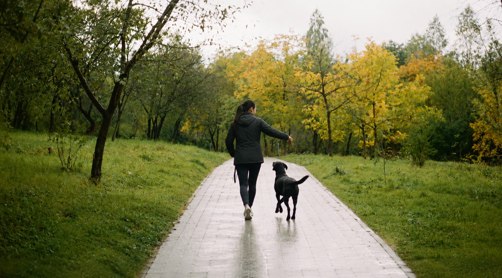 Dog fully engaged in PLAY with its handler, the bond-building mode that pulls the dog's brain onto you instead of onto the environment