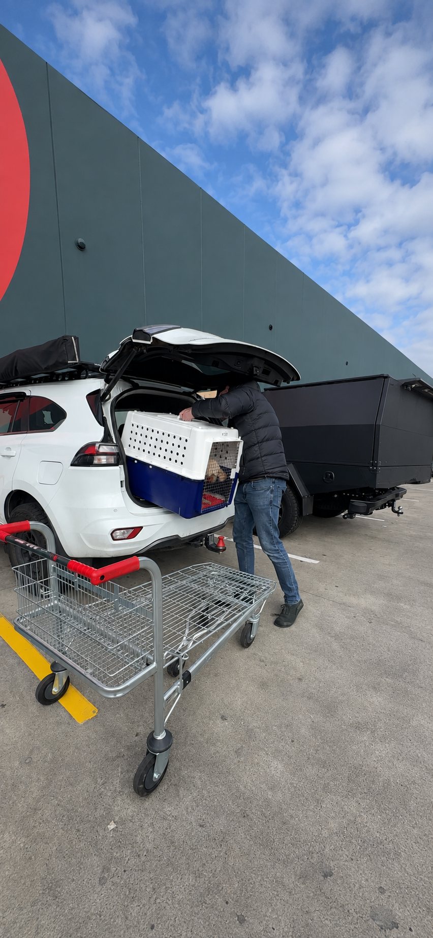 Airline crate with a dog inside being loaded into a car boot, the moving-crate rehearsal that replaces sedation