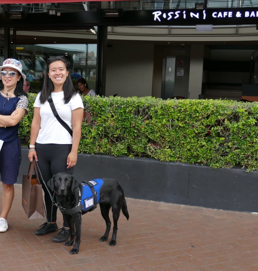 Murphy the black Labrador in her assistance vest, sitting quietly beside Diona outside a cafe, getting no attention and needing none