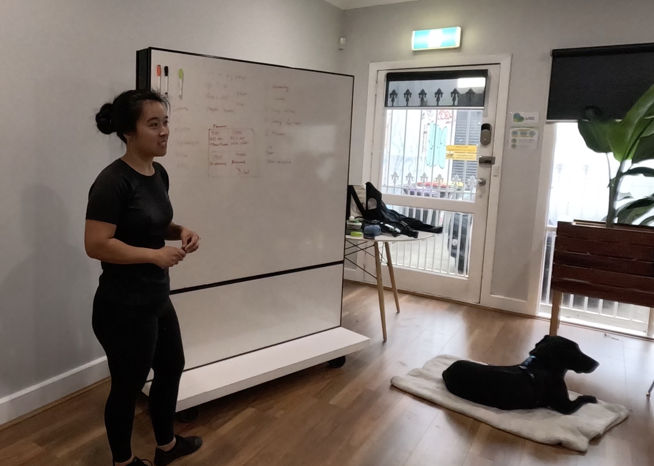 Diona delivering an in-person teaching session at a whiteboard in Melbourne, with her assistance dog Murphy resting nearby.