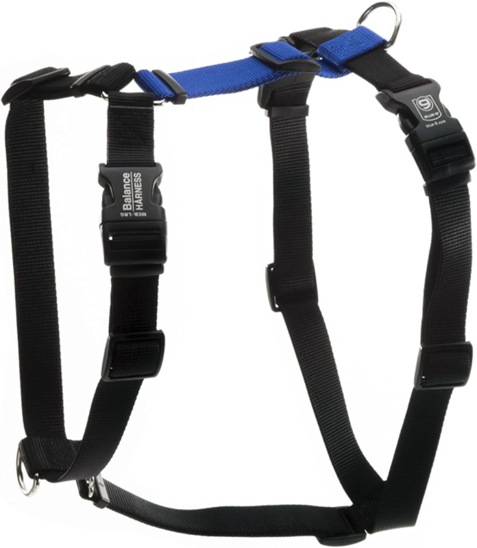 Blue9 Y-front harness with dual clip points at chest and back