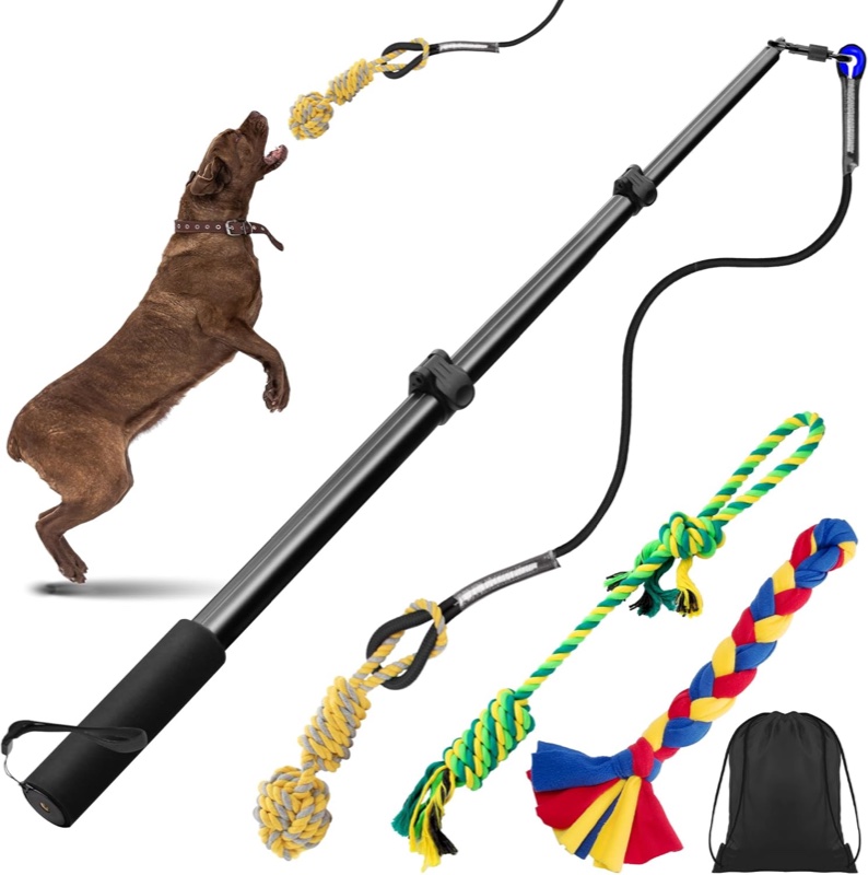 Flirt pole — long pole with rope and toy on the end for structured chase play