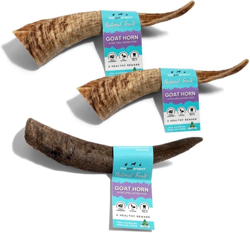 Goat horn — long-lasting natural chew that does not splinter like bones