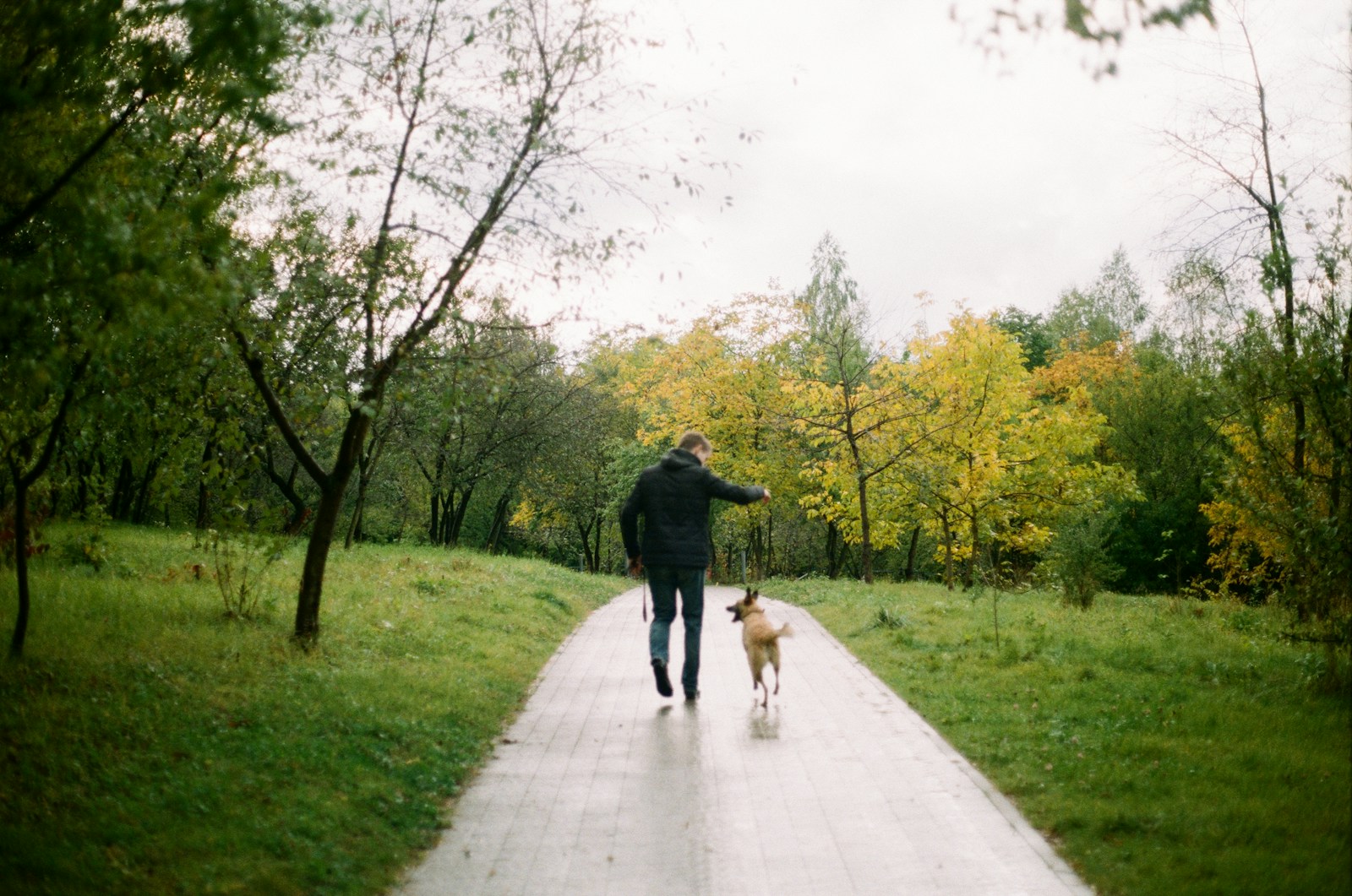 Owner walking calmly with their dog along a quiet forest path, the kind of day-to-day life new dog owners are picturing before they commit